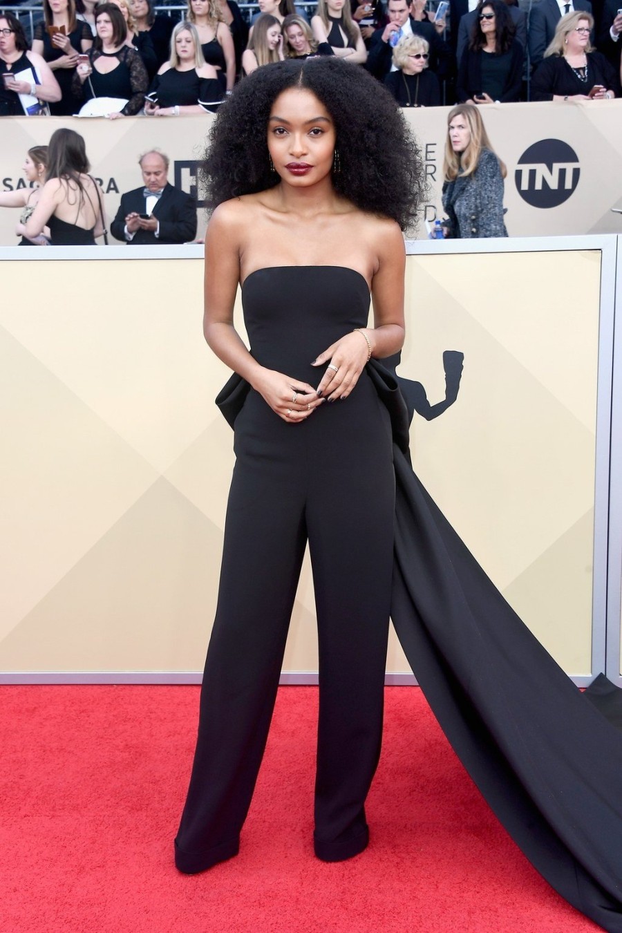 SAG Awards 2018: Οι μεγάλοι νικητές και το κόκκινο χαλί- Φωτογραφία 3