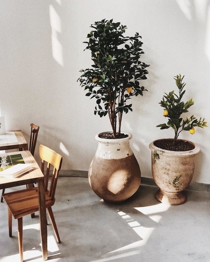 Ο Jacquemus άνοιξε ένα café στο Παρίσι και είναι απόλυτα ινσταγκραμικό- Φωτογραφία 5