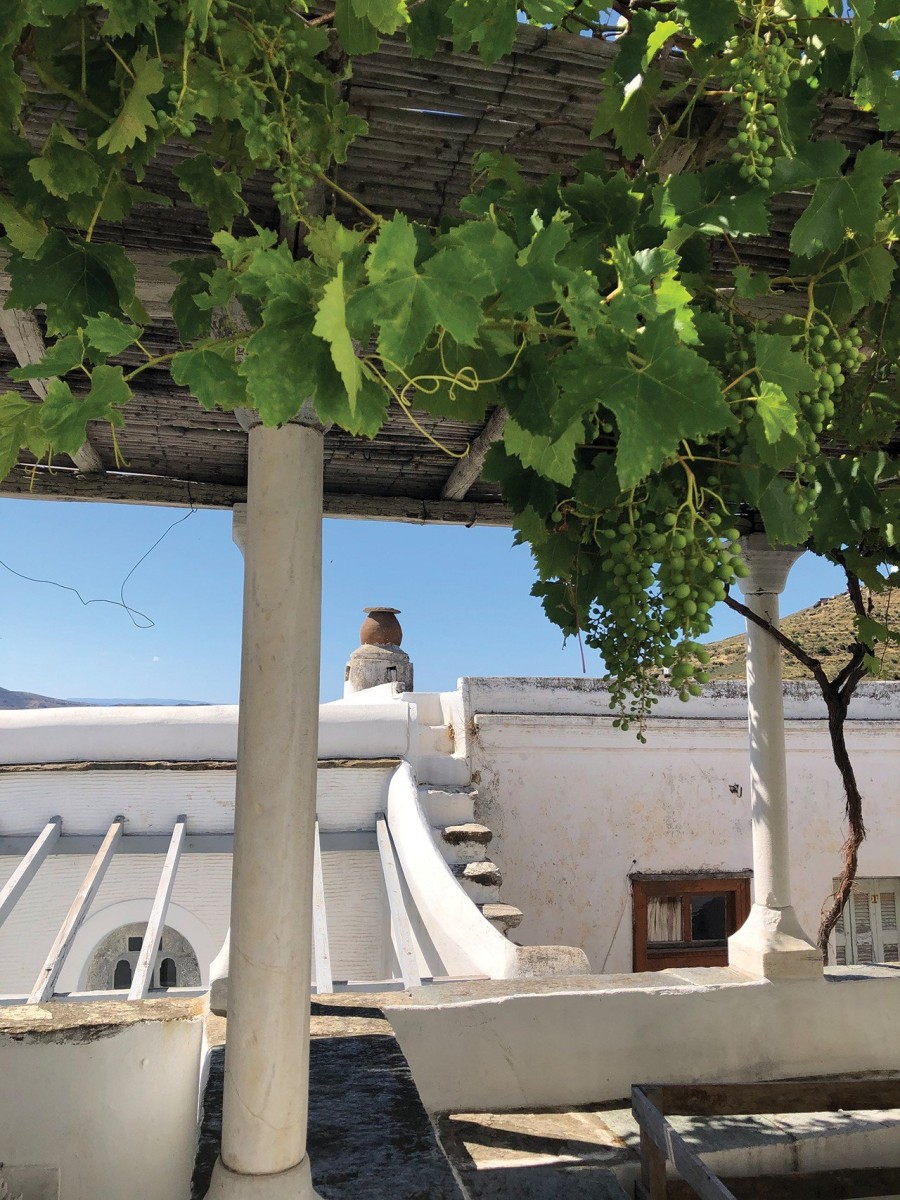 Η καταξιωμένη φωτογράφος Μάρα Δεσύπρη μας ξεναγεί στη δική της Τήνο και μας αποκαλύπτει τα απόκρυφα του τόπου της - Φωτογραφία 8