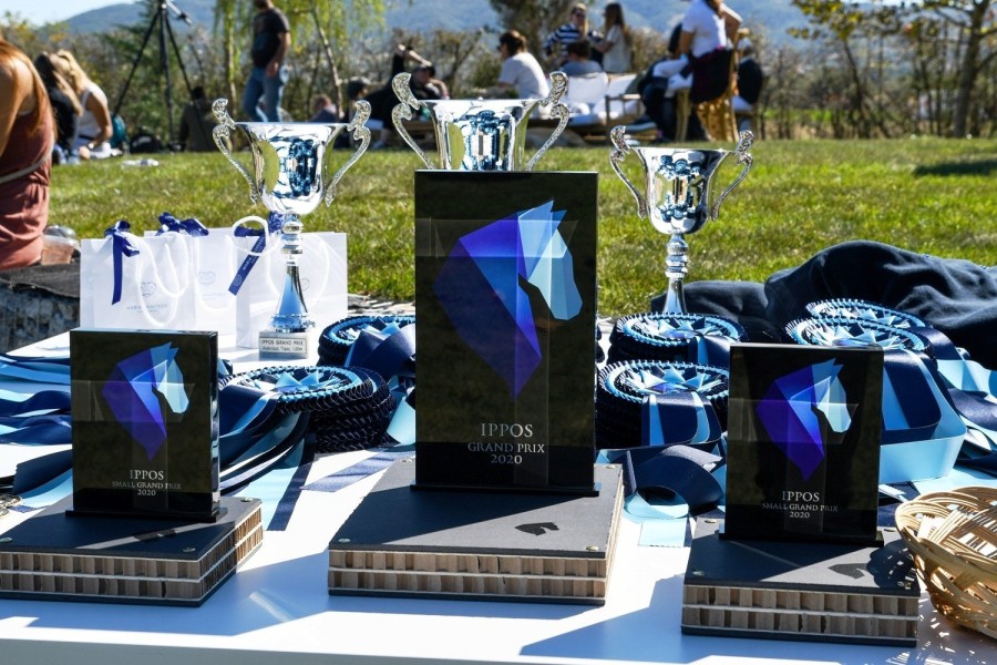 IPPOS Grand Prix: Όσα διαδραματίστηκαν στη διοργάνωση υψηλών ιππικών προδιαγραφών στη Θεσσαλονίκη - Φωτογραφία 7