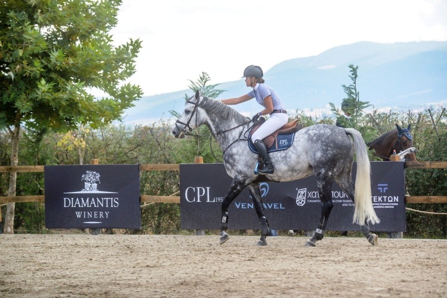 IPPOS Grand Prix: Όσα διαδραματίστηκαν στη διοργάνωση υψηλών ιππικών προδιαγραφών στη Θεσσαλονίκη - Φωτογραφία 11
