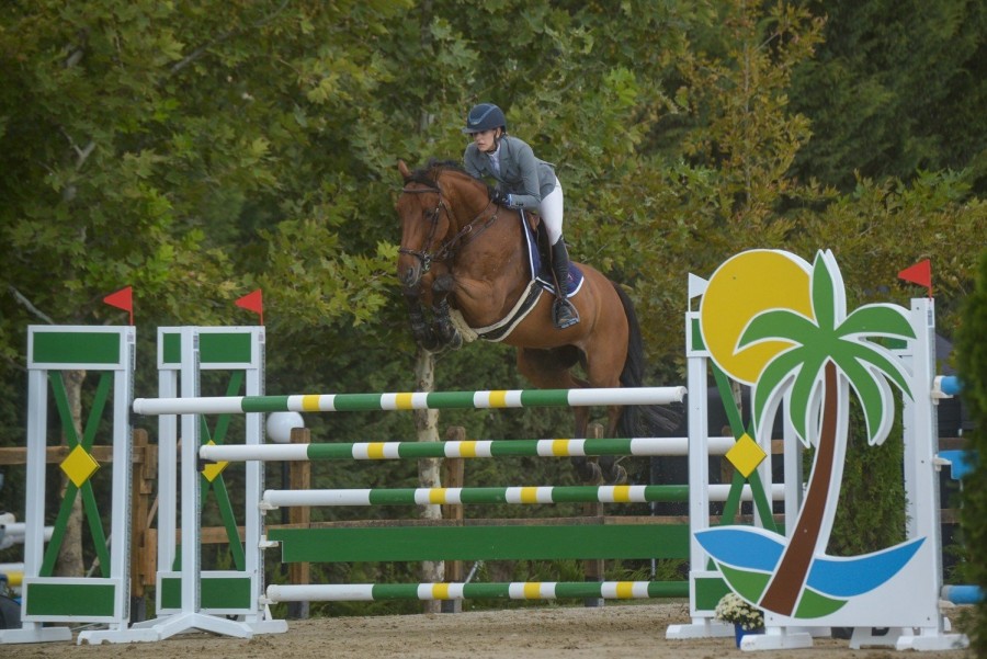 IPPOS Grand Prix: Όσα διαδραματίστηκαν στη διοργάνωση υψηλών ιππικών προδιαγραφών στη Θεσσαλονίκη - Φωτογραφία 5