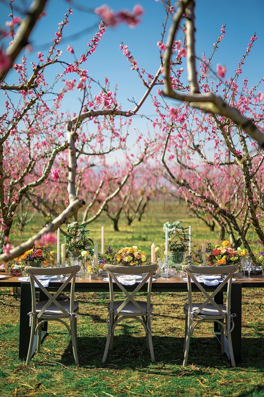 Spring Art de la Table: Το νέο εγχείρημα της Ancient Kallos με hand crafted χαρακτήρα - Φωτογραφία 1
