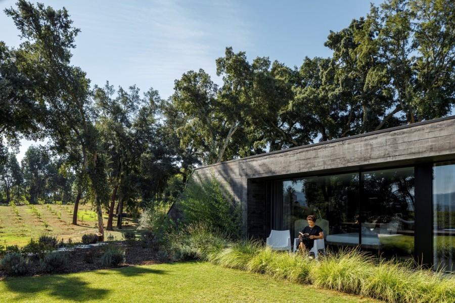 To Cork Oak house είναι μια κατοικία «βουτηγμένη» μέσα στη φύση της Πορτογαλίας- Φωτογραφία 17