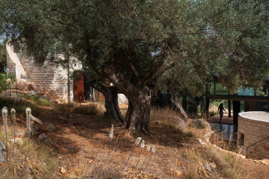 Mια βραβευμένη κατοικία στο Μεγανήσι γίνεται υπόδειγμα ένταξης στο μαγευτικό φυσικό της περιβάλλον - Φωτογραφία 5