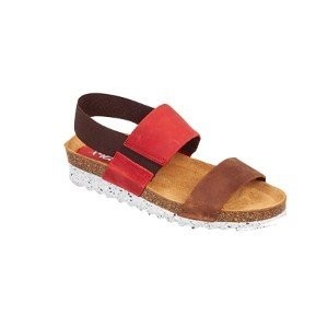  Adam's Shoes  