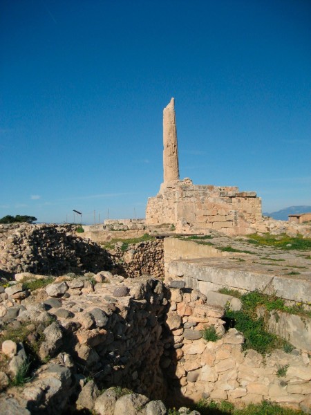 kolona.jpg