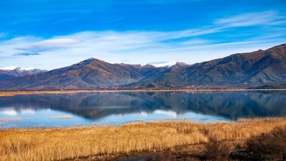 shutterstock-1945240252.jpg