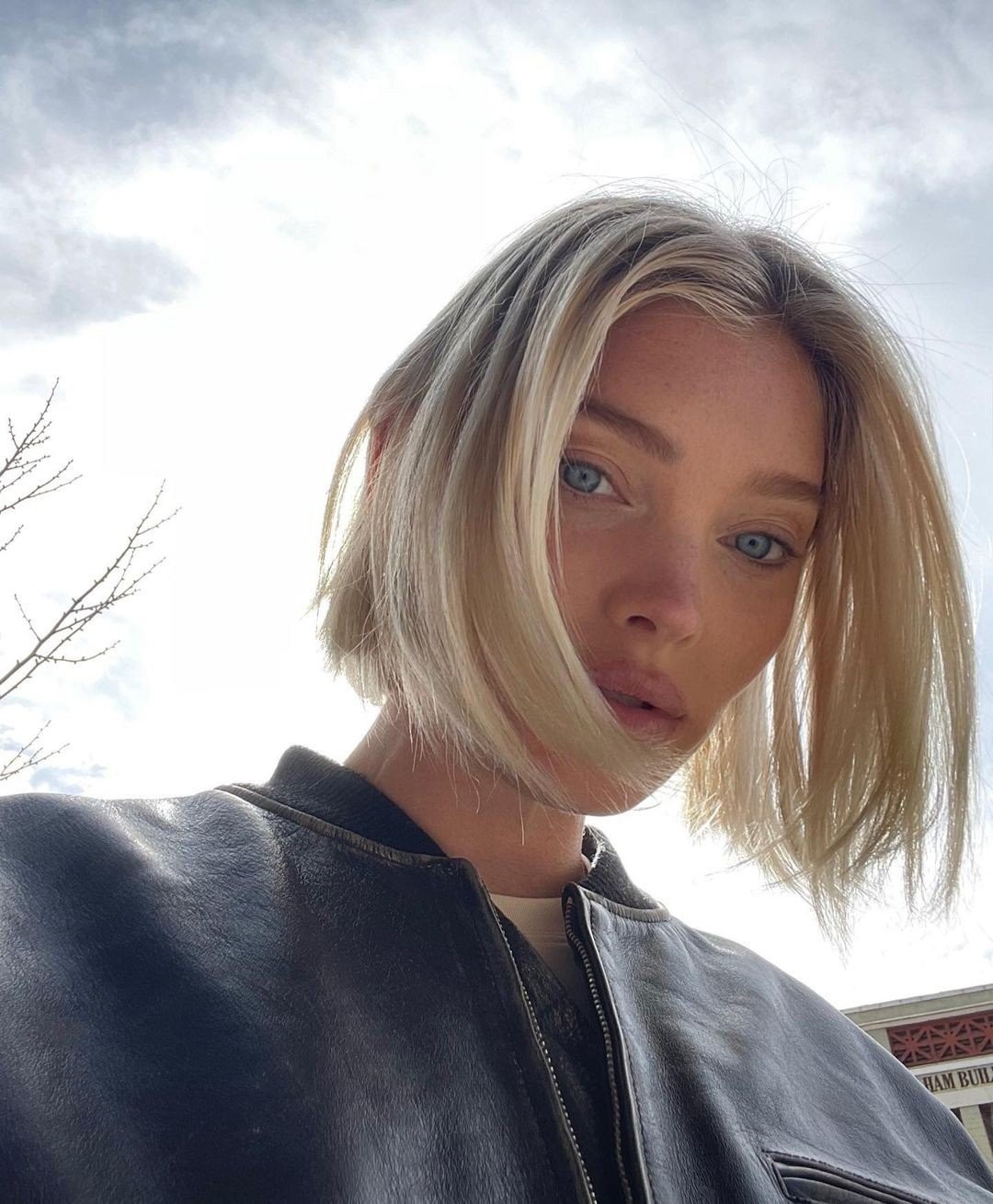 beauty