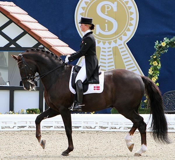 anna-kasprzak-n2npS.jpg