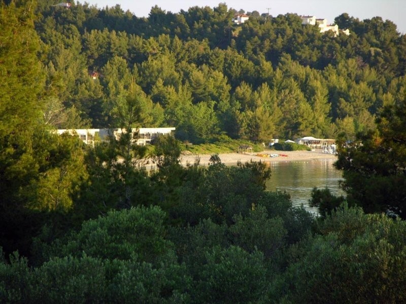 beach.jpg