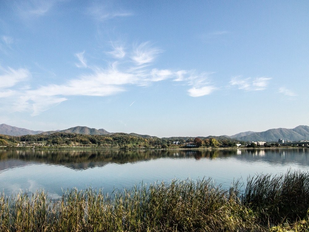 shutterstock-1209176320.jpg