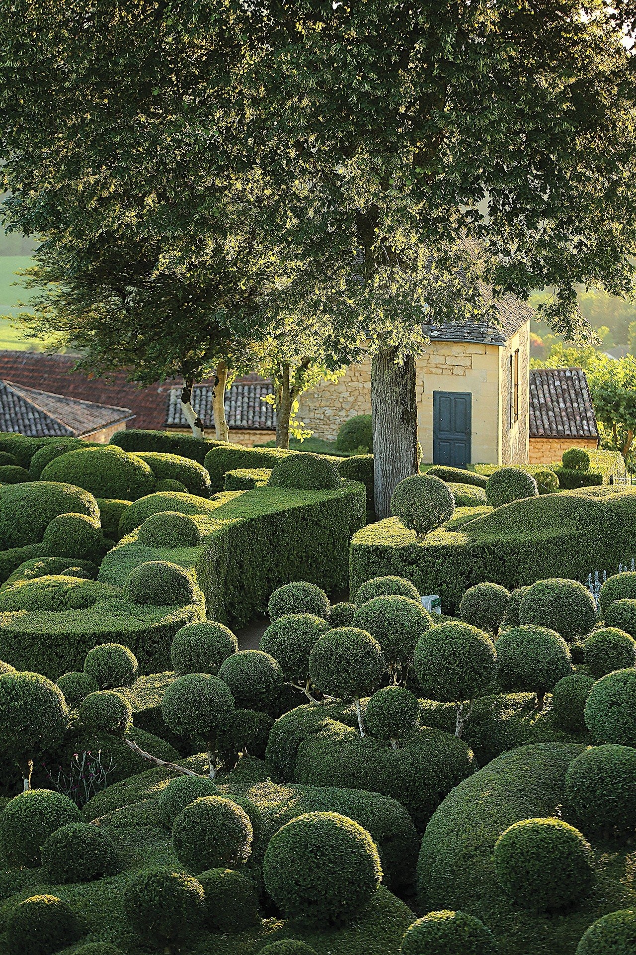 14-vdm-garden-futures-gardens-of-marqueyssac-laugery-M9MLy.jpg