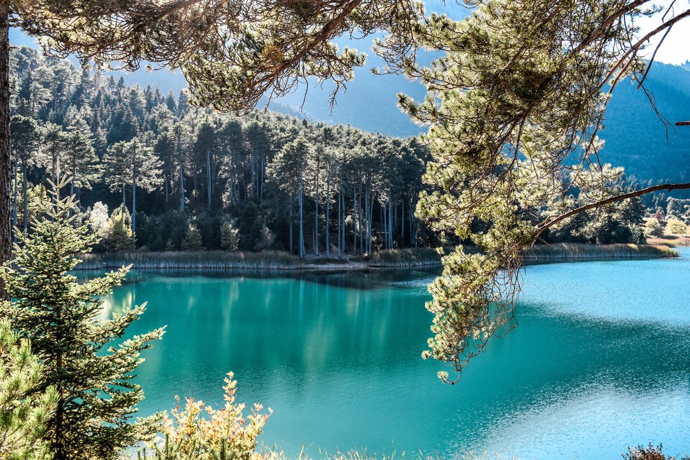 shutterstock-1846683487.jpg