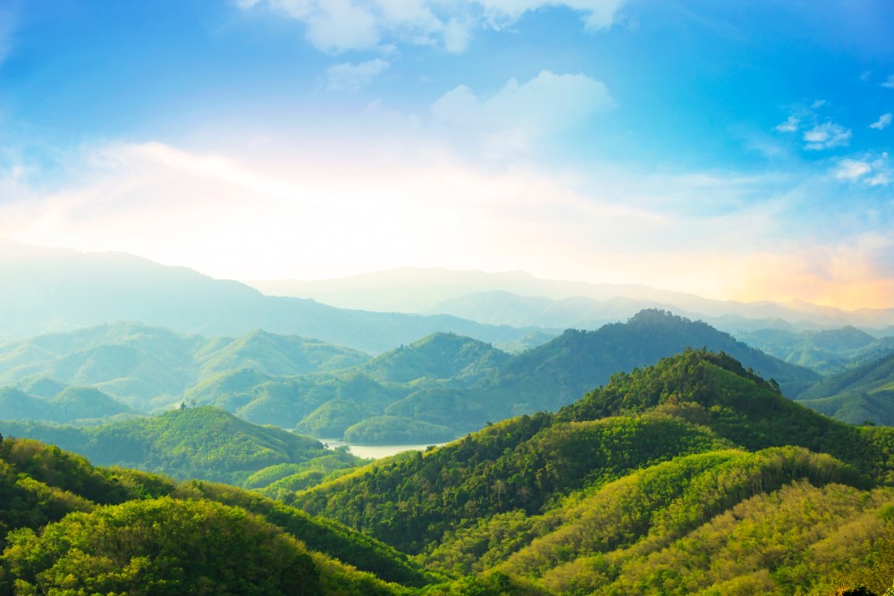 shutterstock-1147516931.jpg