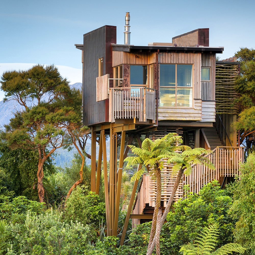 treehousesquare.jpg