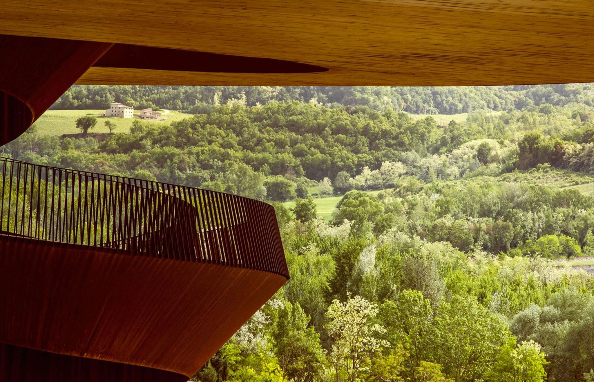 antinori-2.jpg