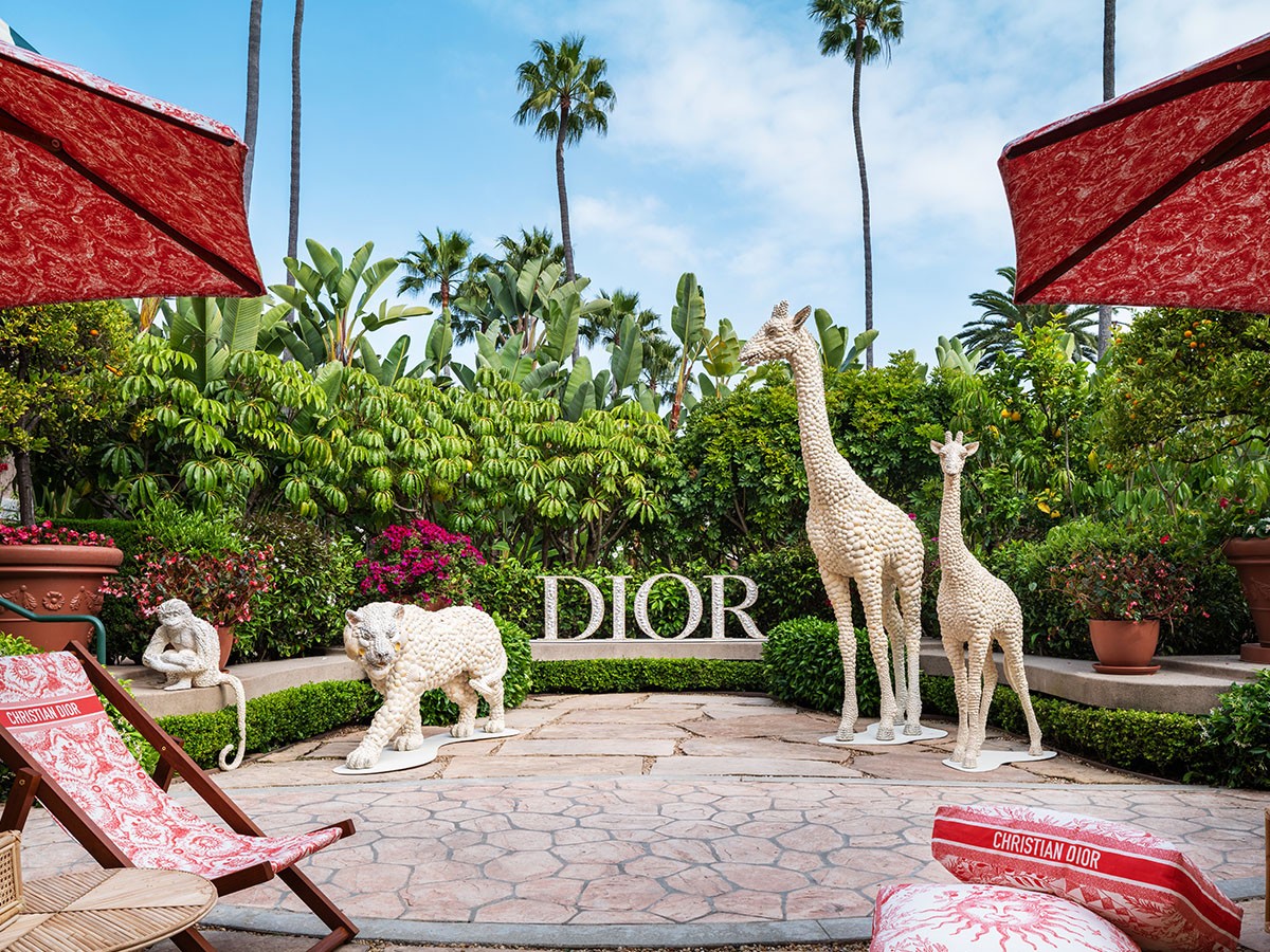 dior-bh3.jpg