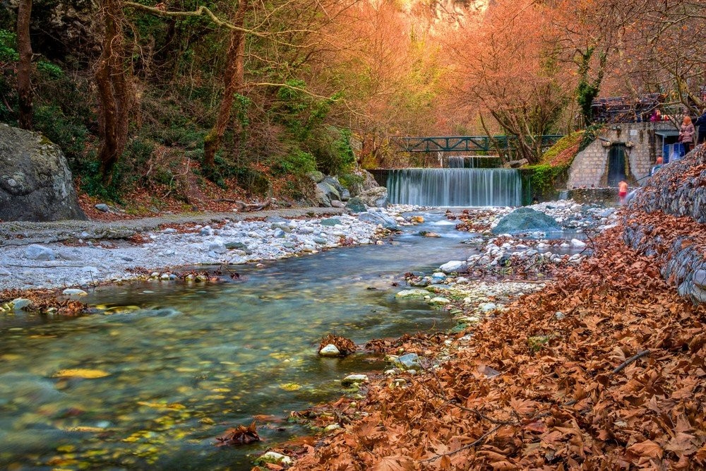 shutterstock-1319425259.jpg