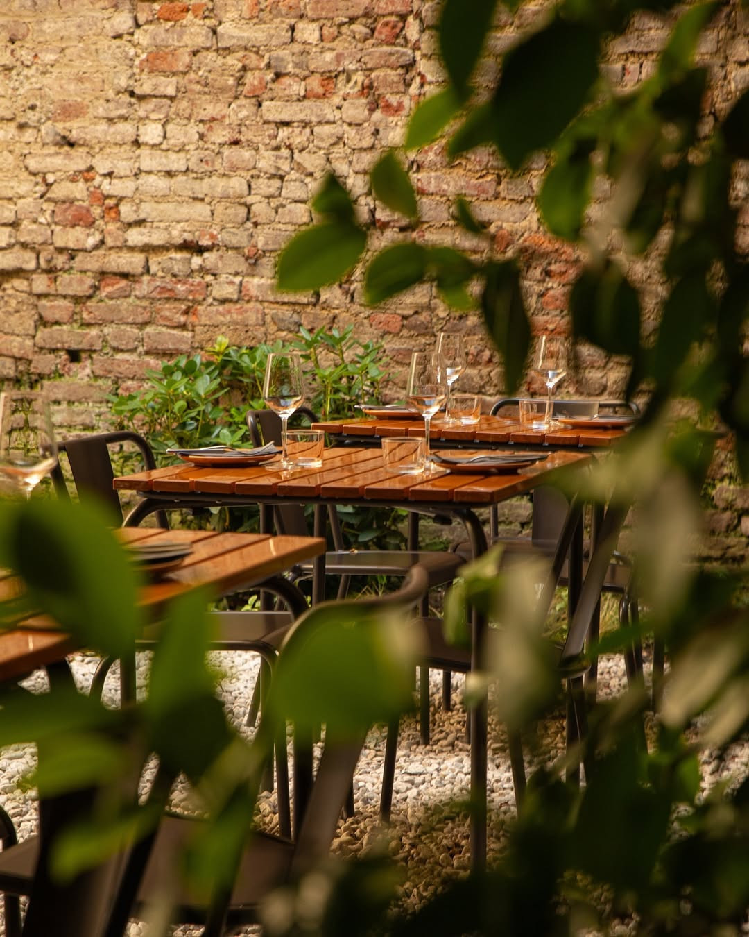 incontra-la-natura-prenota-il-tuo-tavolo-nel-giardino-segreto-di-brera-anche-a-dicembre-asvn-vinonaturale-cella-breradesigndistrict-brera-associazione-corsogaribaldi.jpg