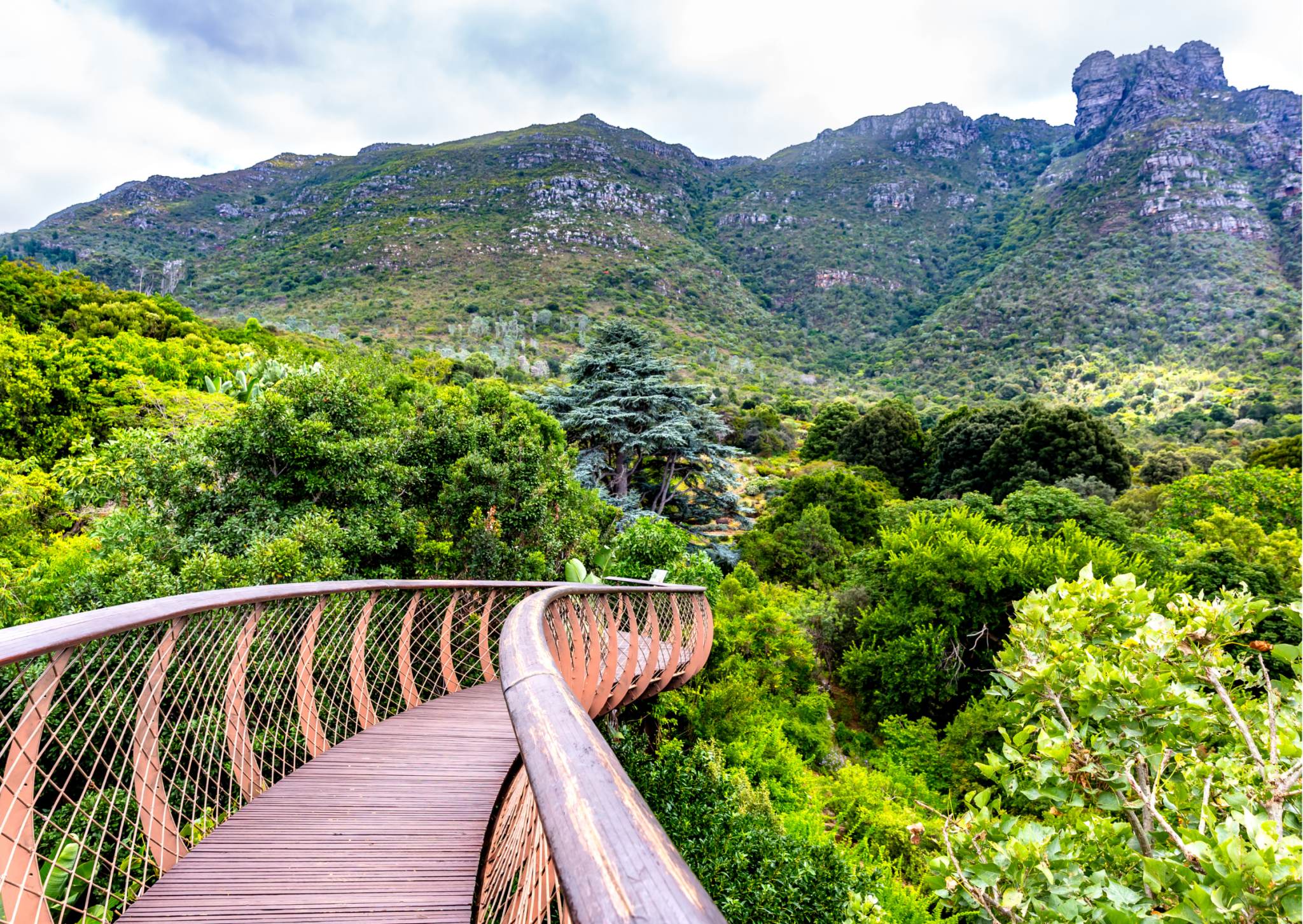 picture-of-eastern-slopes-of-table-mountain-from-k9bda540.png