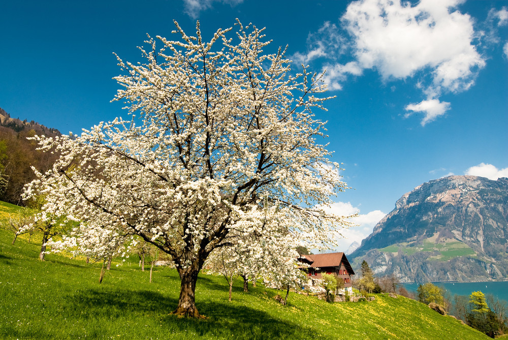 shutterstock-28436596.jpg