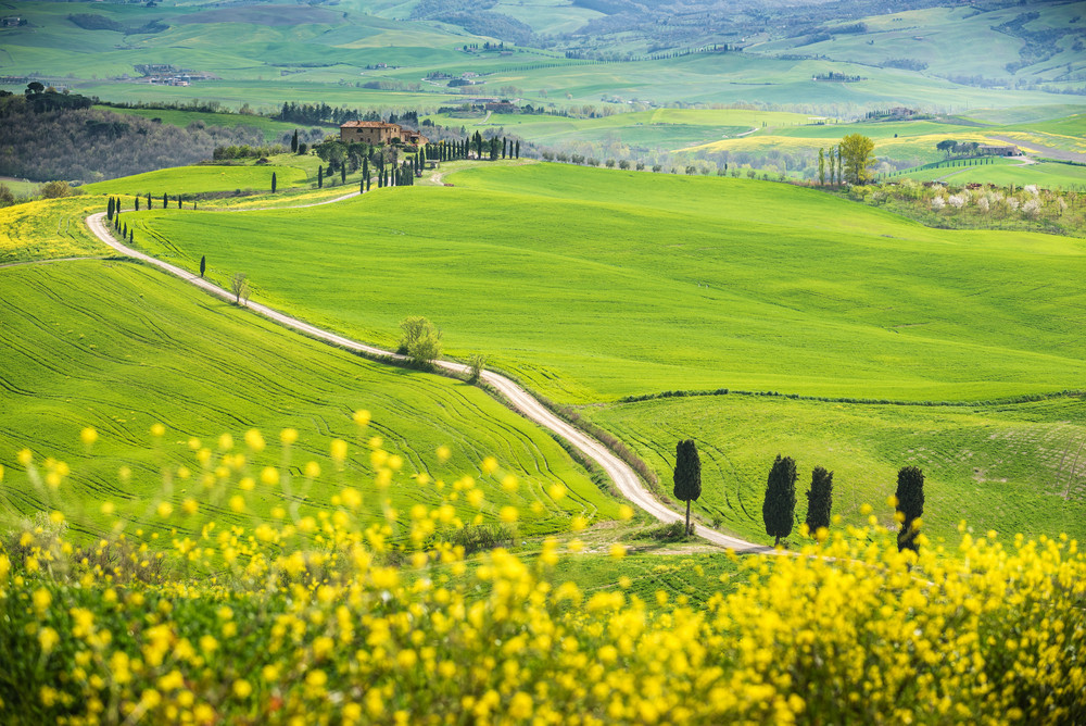 shutterstock-404637475-2.jpg