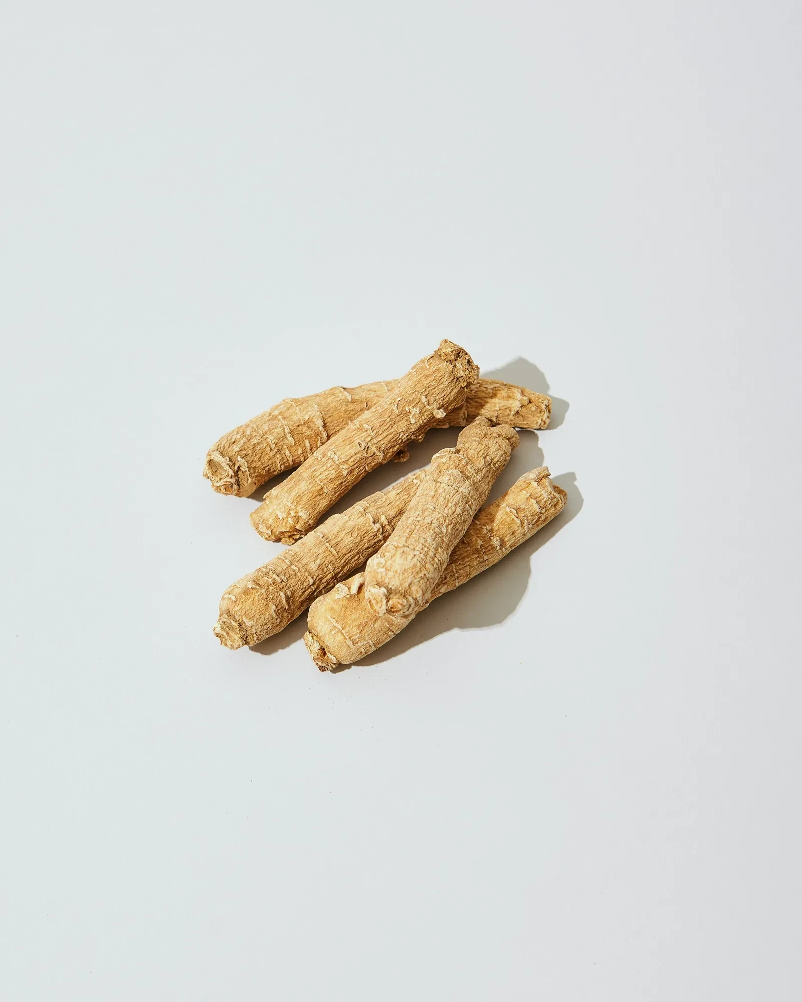 ginseng-plantajpg.webp