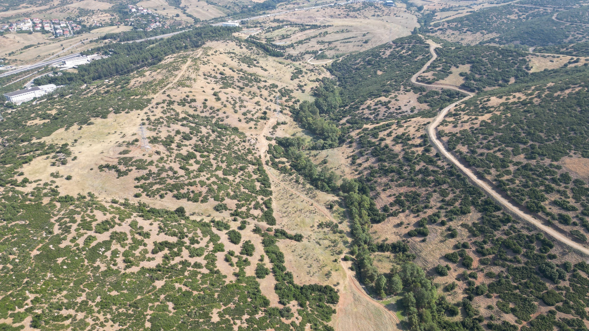 6panoramic2.JPG
