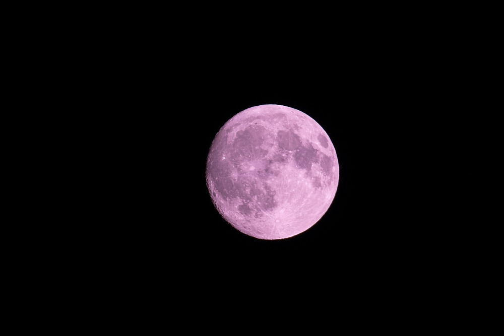 shutterstock-2312386501.jpg