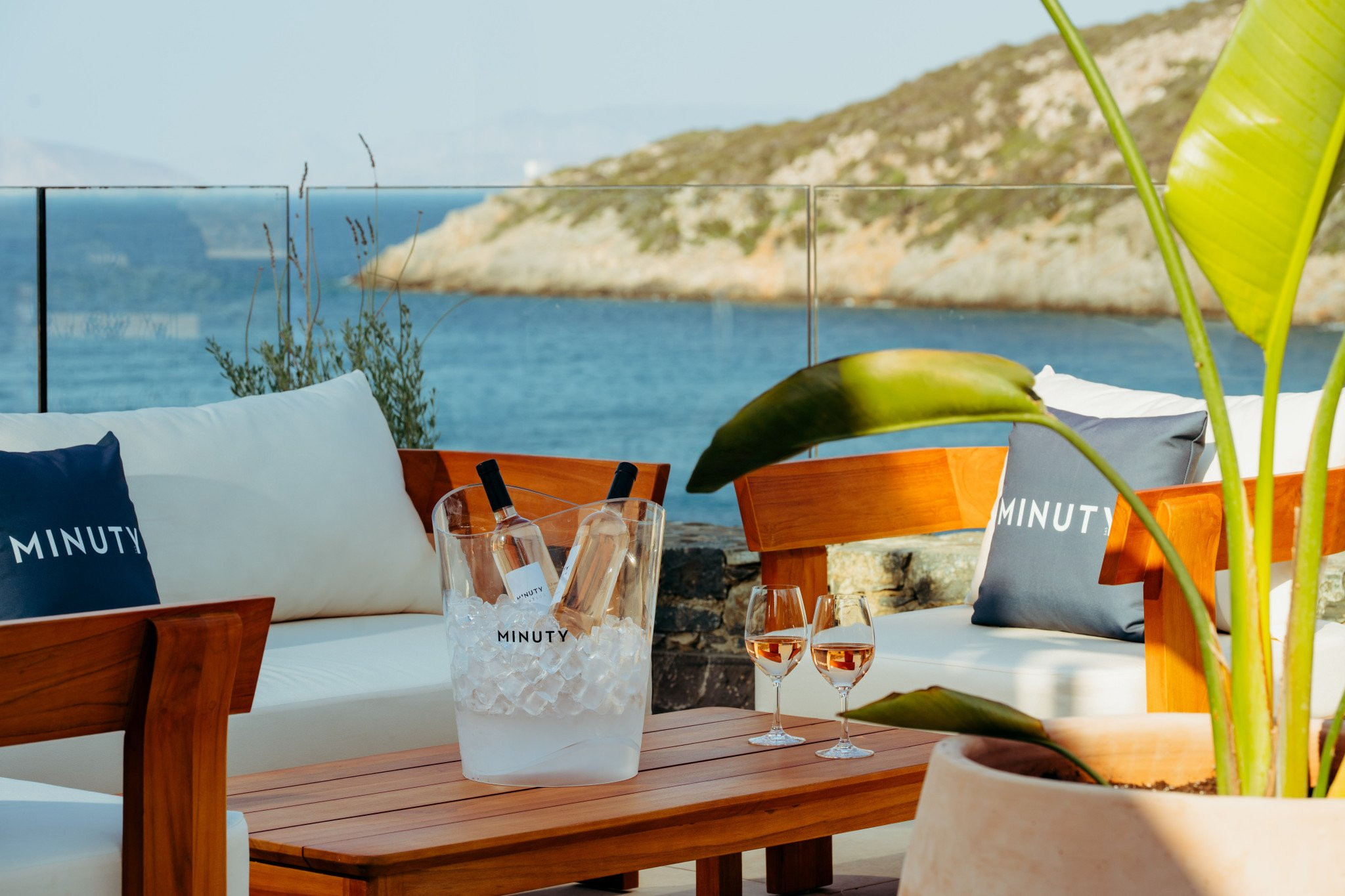 daios-cove-x-minuty-jul-25-beedigital-2.jpg