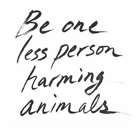 crueltyfreequote.jpg