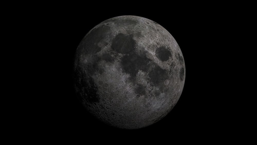 shutterstock-2466606307.jpg