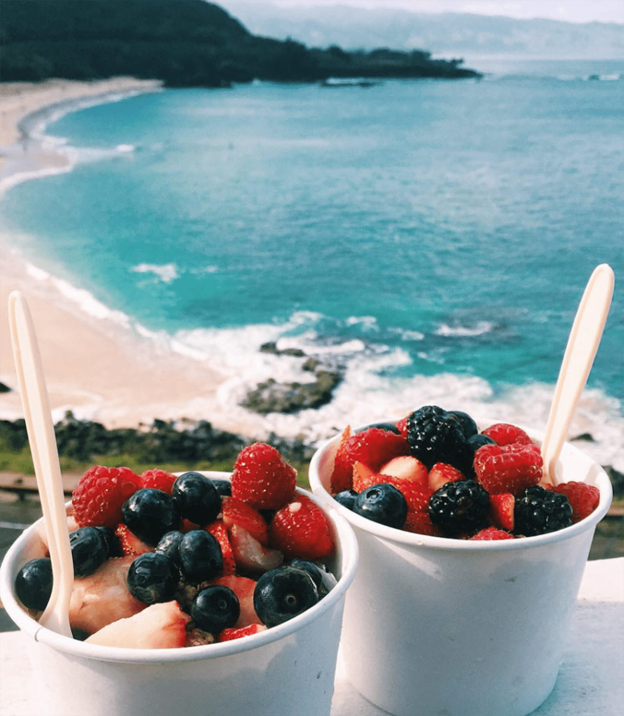 acai-892x1024.png