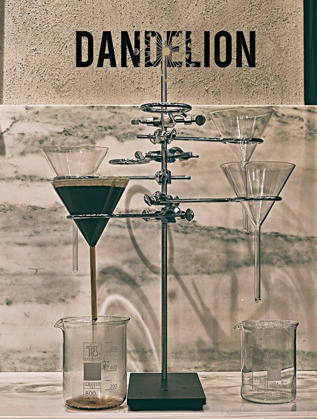 dandelion.jpg dandelion.jpg