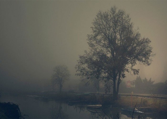 photobiennale.jpg