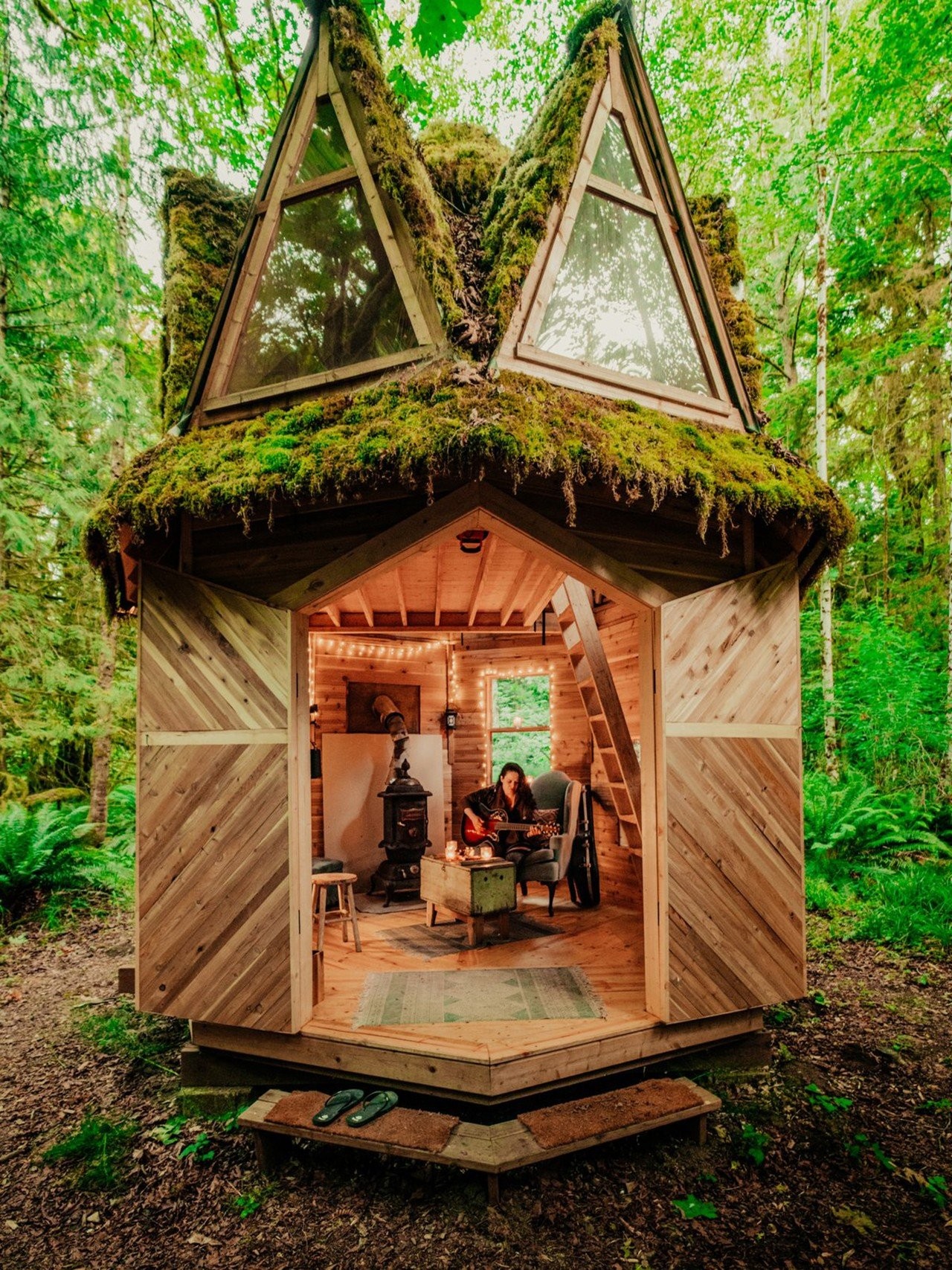 2-cabins-by-jason-witzling.jpg