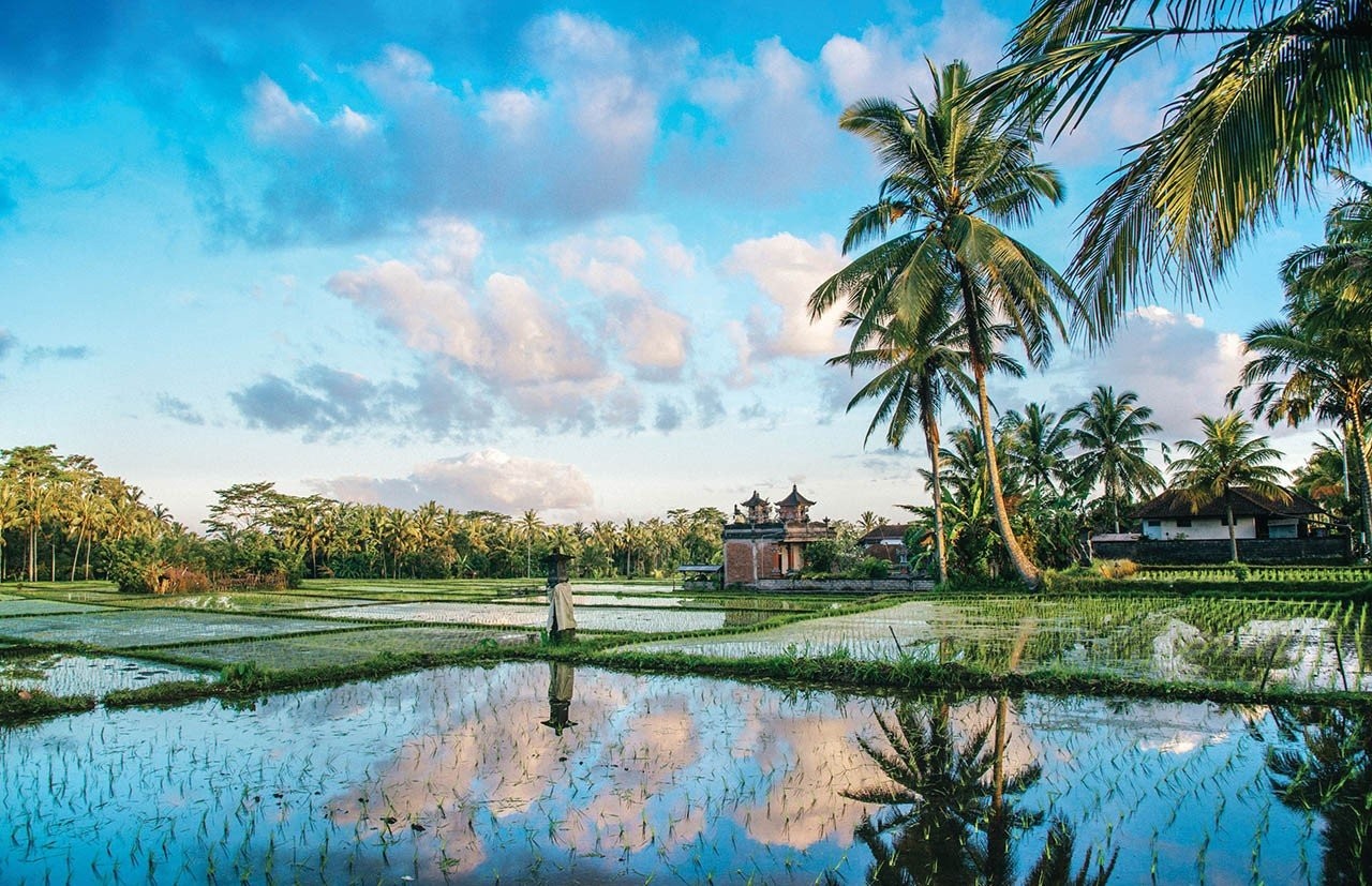 bali.jpg