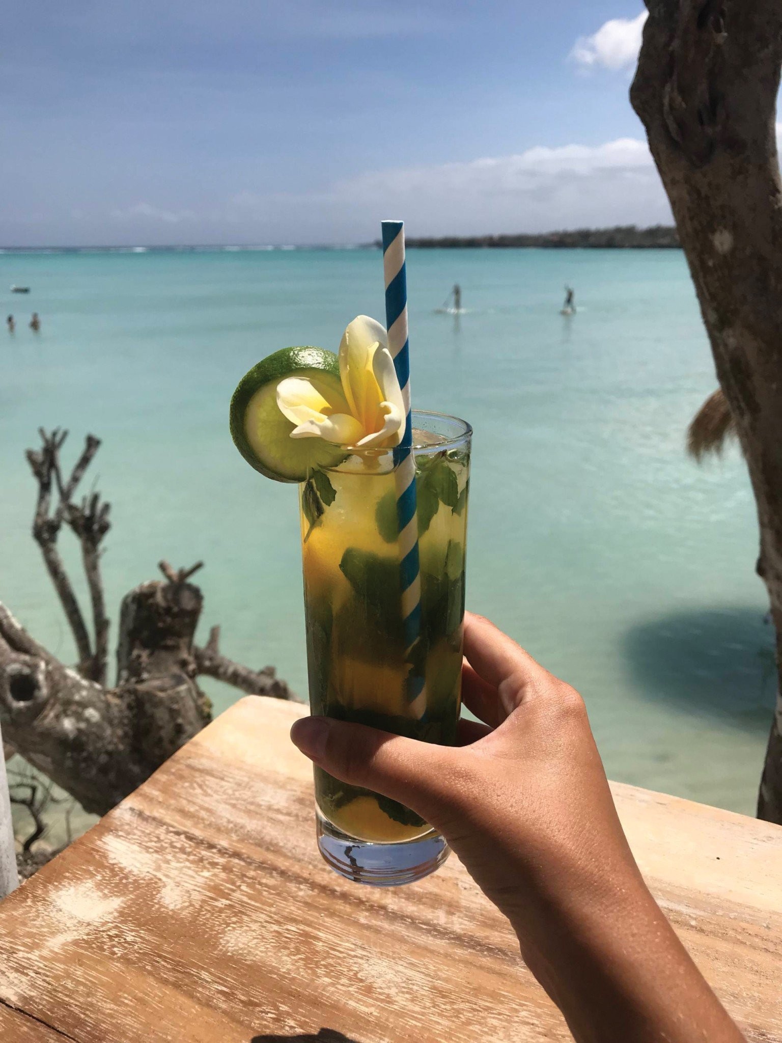 summer-habit-cocktails.jpg