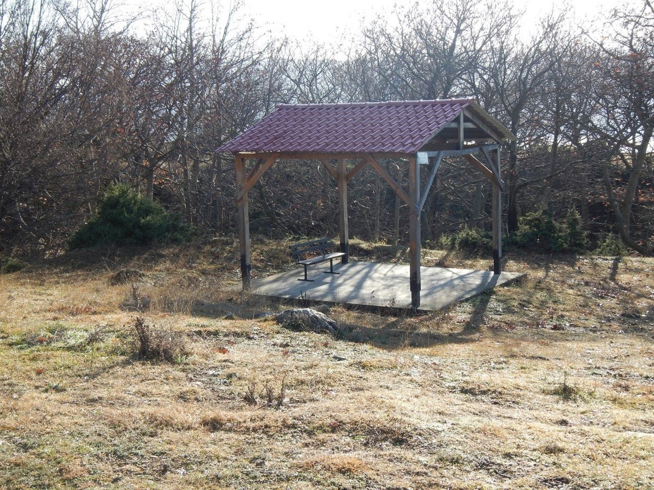 almopia-4.JPG
