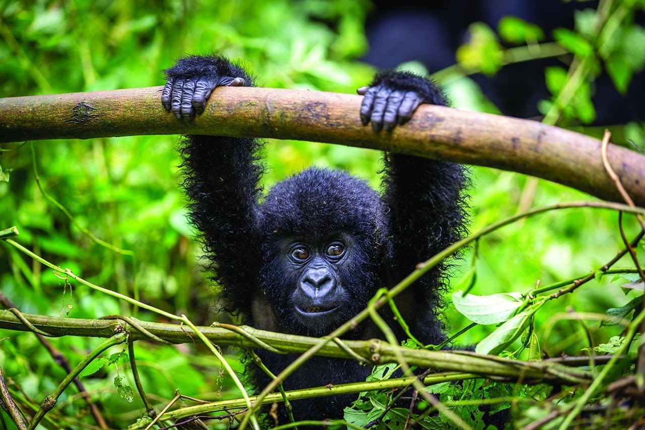 rwanda3.jpg