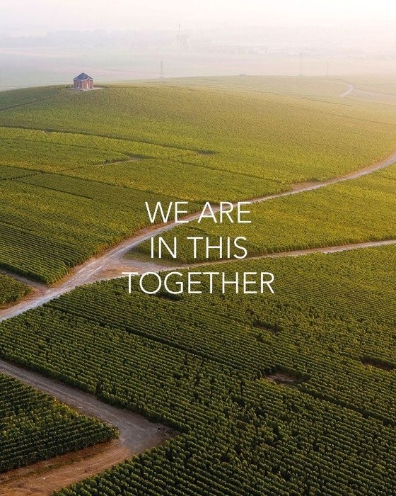 lvmh.jpg