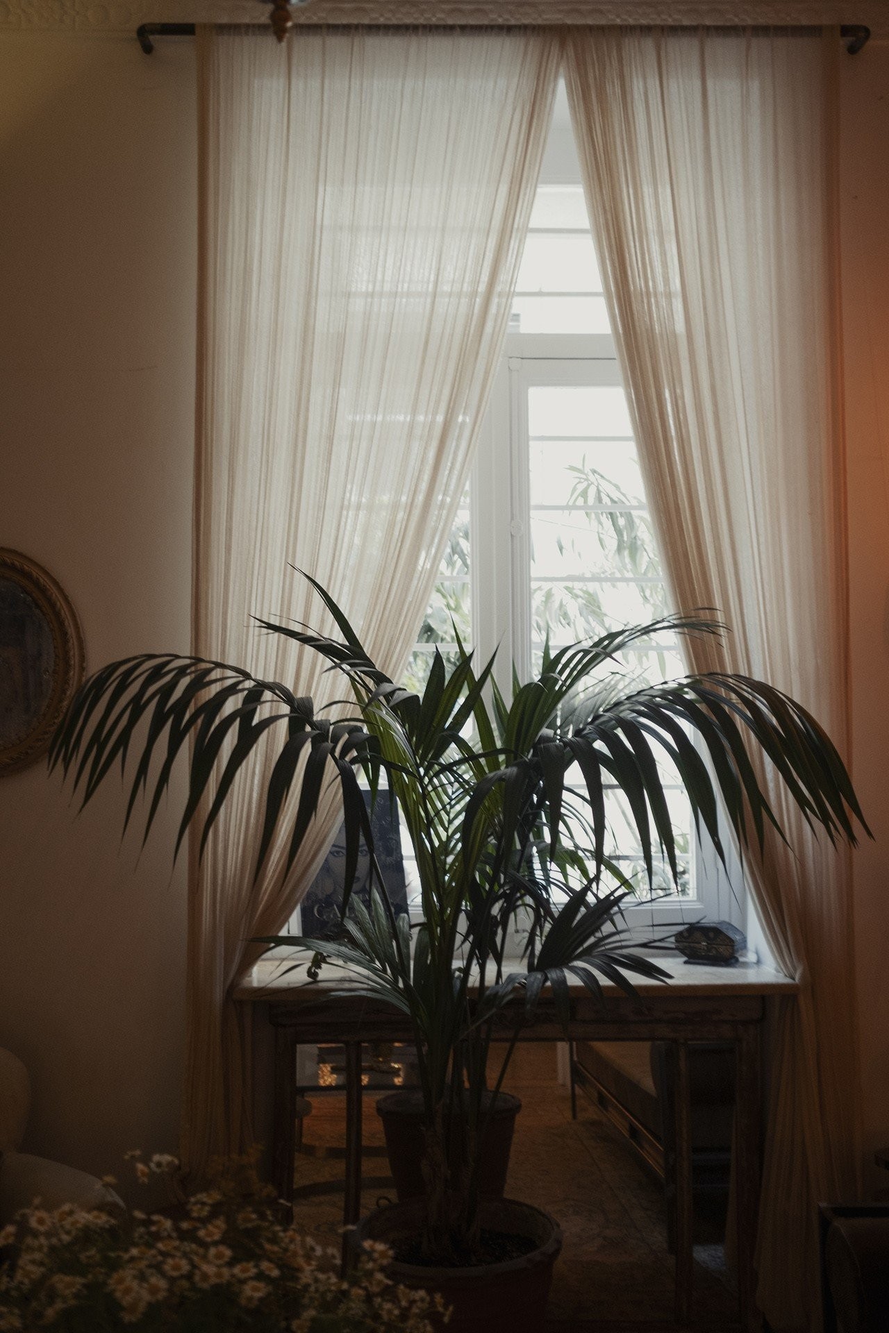 shila-salon-view.jpg