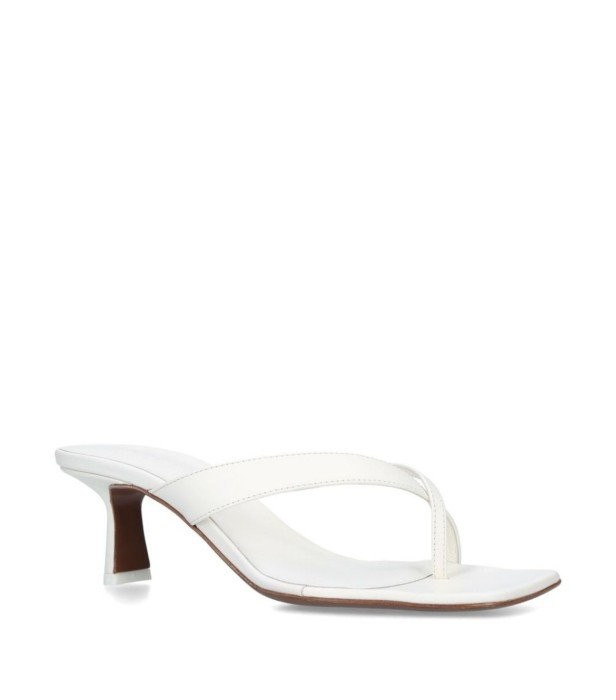 mules-15.jpg