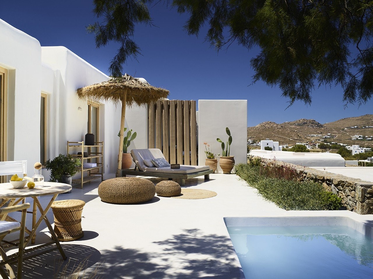 the-wild-mykonos46076.jpg
