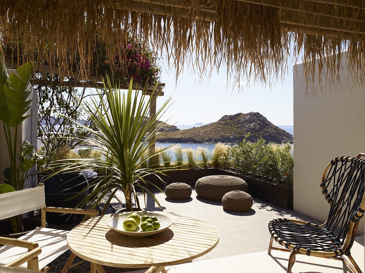 the-wild-mykonos46262.jpg