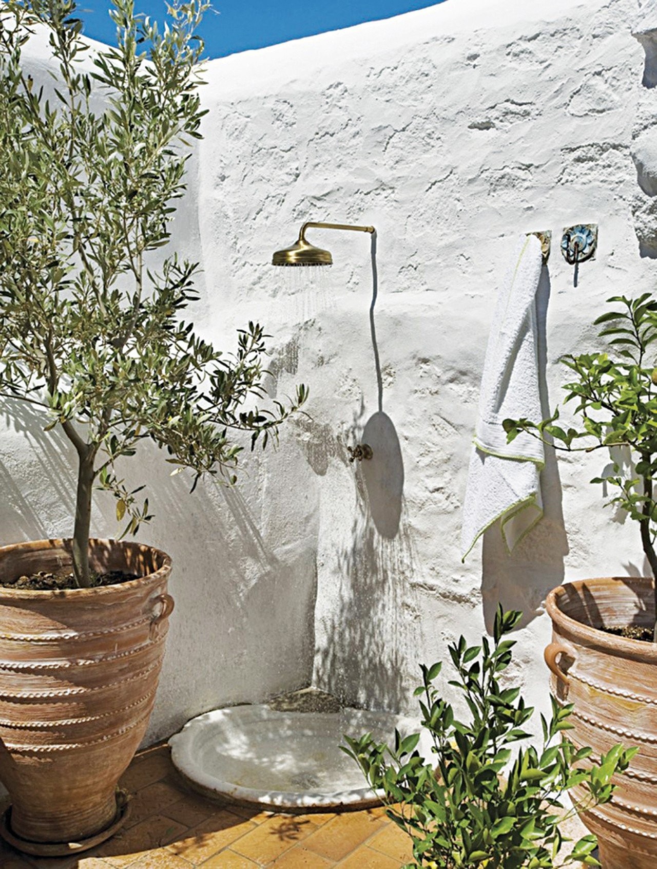 cover5.jpg