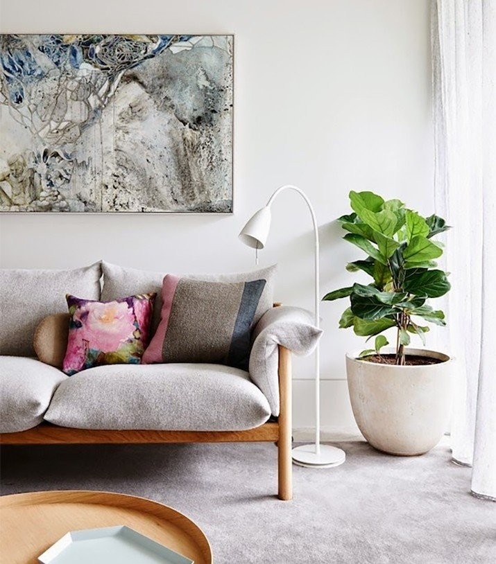 plant-in-the-living-room.jpg