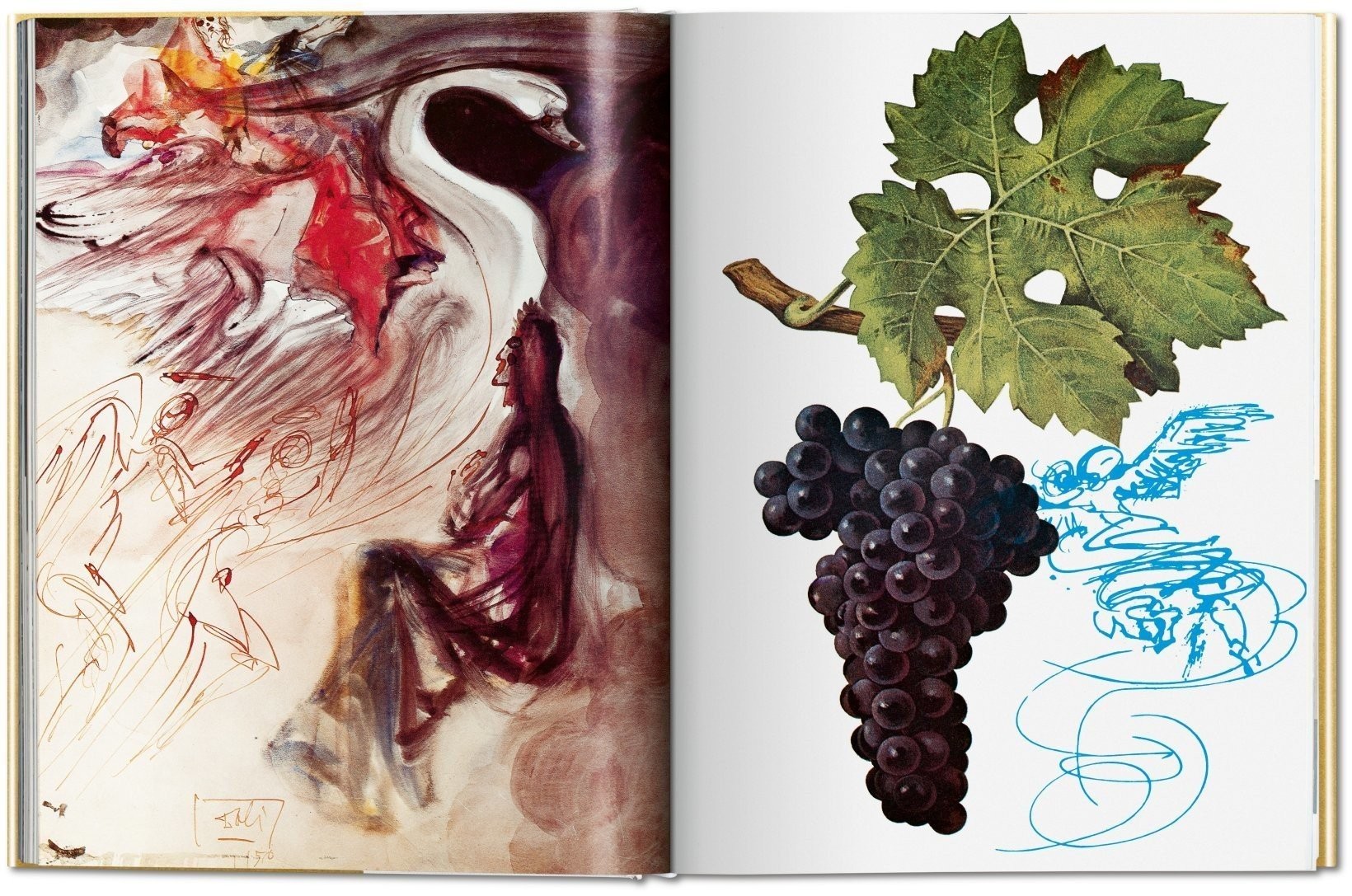 dali-vins-7.jpg