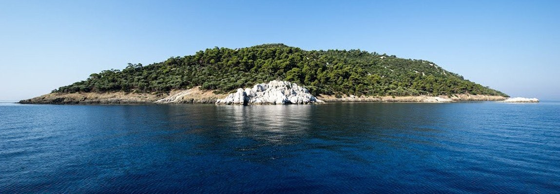 kornjaca2.jpg
